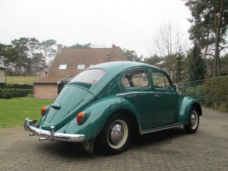1964 vw beetle type1